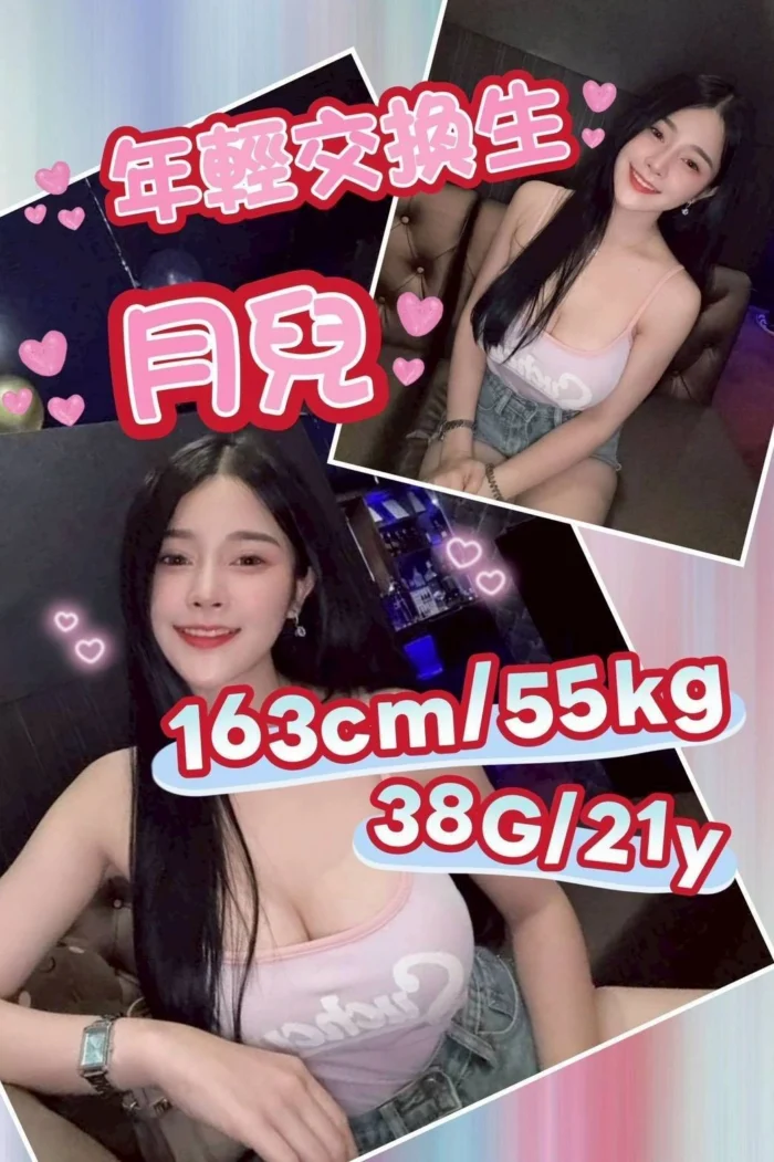 嘉義定點茶-月兒/163/55/21/G