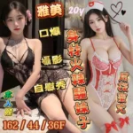 台南定點茶-雅美/162/44/20/F