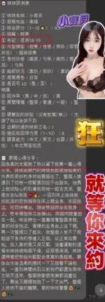 台中定點茶-小寶貝/158/43/19/D
