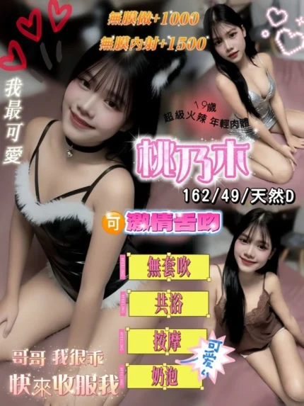 桃園定點茶-桃乃木/162/49/19/D