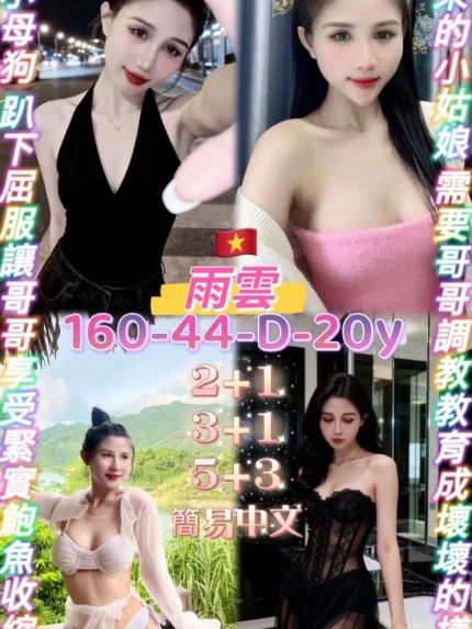 桃園定點茶-雨雲/160/44/20/D