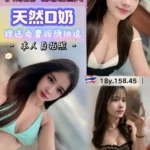 桃園定點茶-丁小雨/158/45/18/D