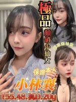 台南定點茶-小林襄/155/48/20/D