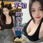 新北定點茶-芋初/157/47/20/E