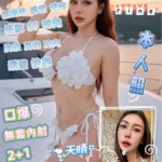 屏東定點茶-天晴/162/48/?/C