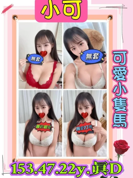 新北定點茶-小可/153/47/22/D