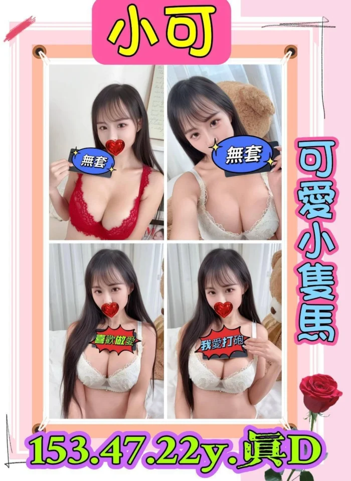 新北定點茶-小可/153/47/22/D 新北定點茶-小可/153/47/22/D
