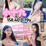 桃園定點茶-小十九/158/40/19/D