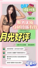台南定點茶-月光/157/41/22/C