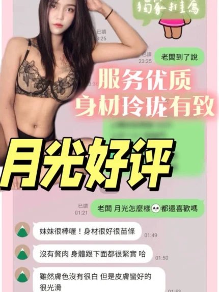 台南定點茶-月光/157/41/22/C