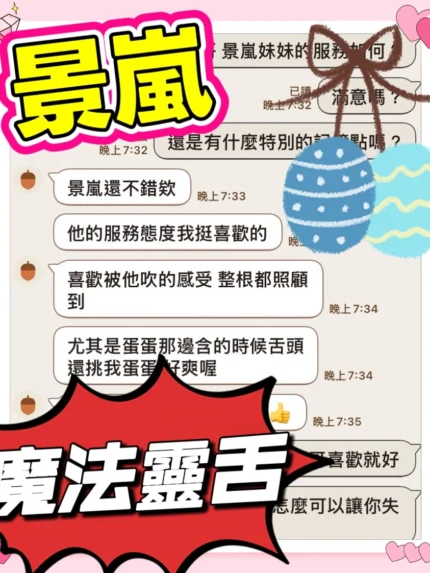 台中定點茶-景嵐/163/46/20/C