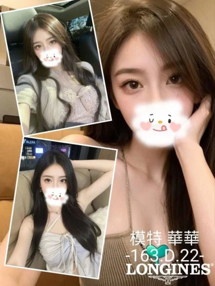 台中外送茶-華華/163/42/22/D