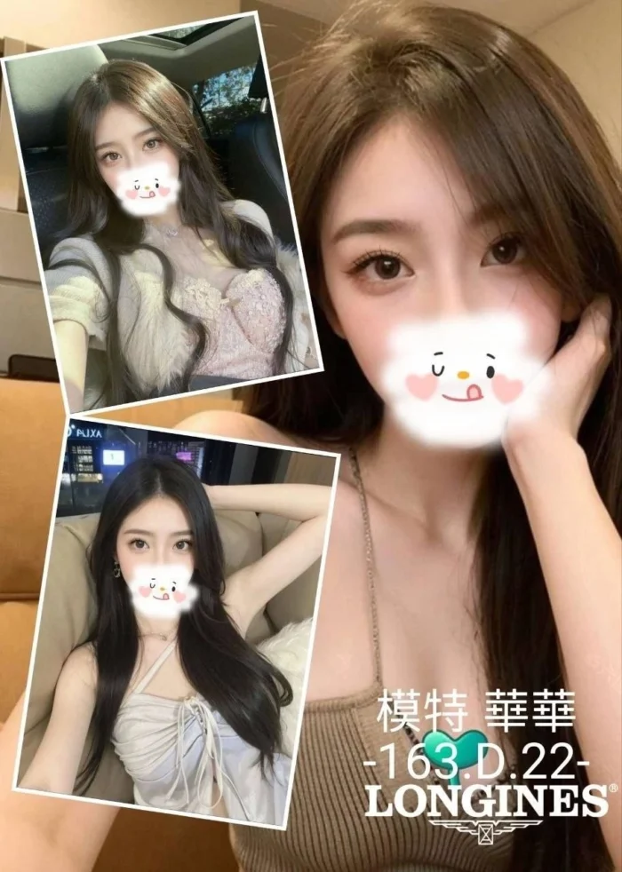台中外送茶-華華/163/42/22/D 台中外送茶-華華/163/42/22/D