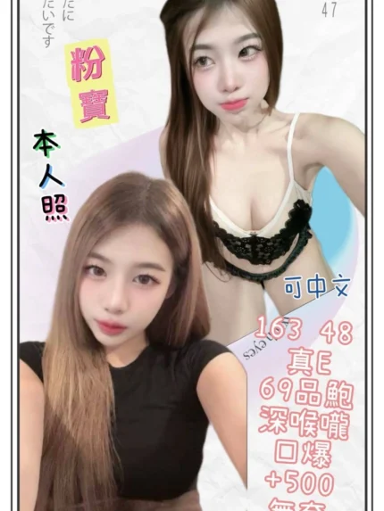 新北定點茶-粉寶/163/48/?/E