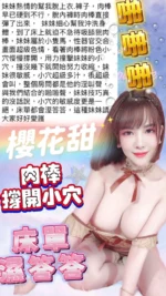 台中定點茶-櫻花甜/157/45/22/F