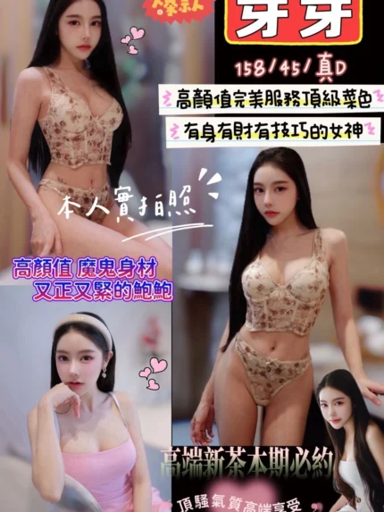 苗栗定點茶-芽芽/158/45/?/D