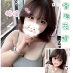 台中定點茶-綿綿/153/55/20/F