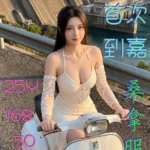 嘉義定點茶-蘇若娜/168/50/25/E