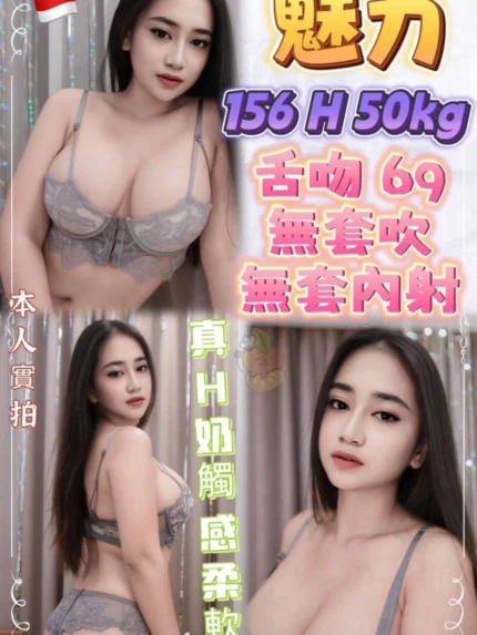 新北定點茶-魅力/156/50/?/H