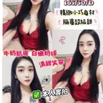 苗栗定點茶-林莎/165/50/25/D
