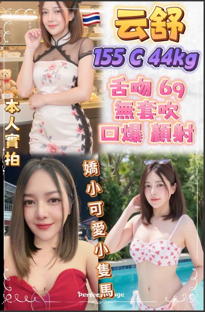 新北定點茶-云舒/155/44/20/C