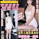 桃園定點茶-許采晴/167/46/20/D