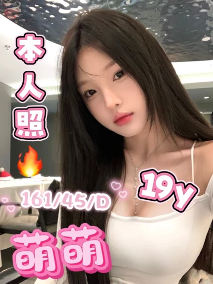 高雄定點茶-萌萌/161/45/19/D