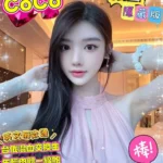 台南外送茶-Coco/165/45/20/C