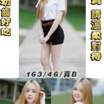 台北定點茶-小米/163/46/20/B