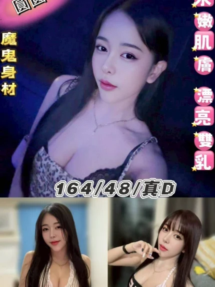 台北定點茶-圓圓/164/48/23/D