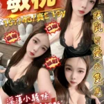 桃園定點茶-敏桃/157/48/19/E