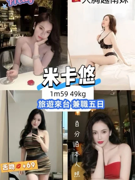 台北定點茶-米卡悠/159/49/?/E