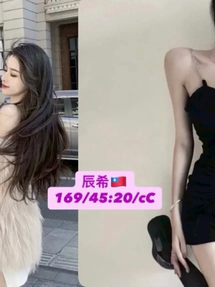台中外送茶-辰希/169/45/20/C