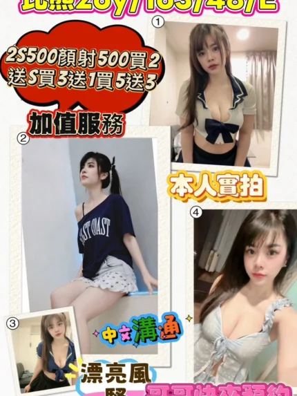 苗栗定點茶-比熊/163/48/28/E