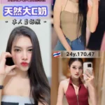 桃園定點茶-骰寶女孩/170/47/24/C