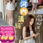 彰化定點茶-沅禧/152/42/20/E