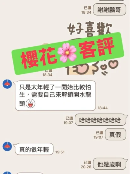 新北定點茶-櫻花/155/45/19/D