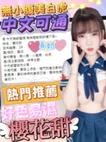 台中定點茶-櫻花甜/157/45/22/F