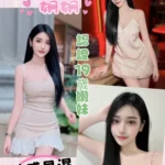 南投定點茶-姍姍/160/41/19/E