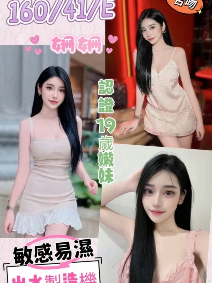 南投定點茶-姍姍/160/41/19/E