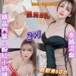 桃園定點茶-泰莎/156/45/22/E