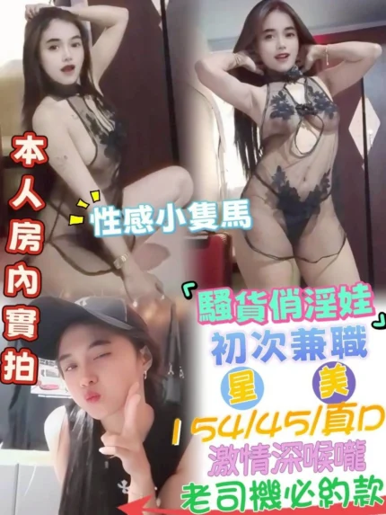 台中定點茶-星美/154/45/22/D