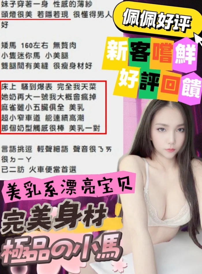 新竹定點茶-佩佩/160/49/?/D