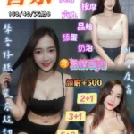 桃園定點茶-香奈/158/45/25/D