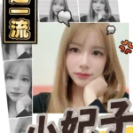 台南定點茶-小妃子/153/42/20/D
