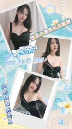 屏東定點茶-星奈/155/45/26/D