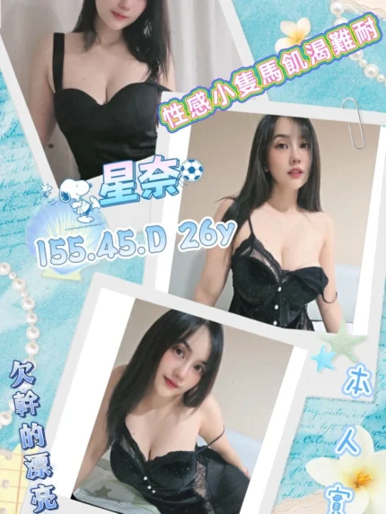 屏東定點茶-星奈/155/45/26/D