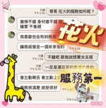 台中定點茶-花火/155/44/20/C