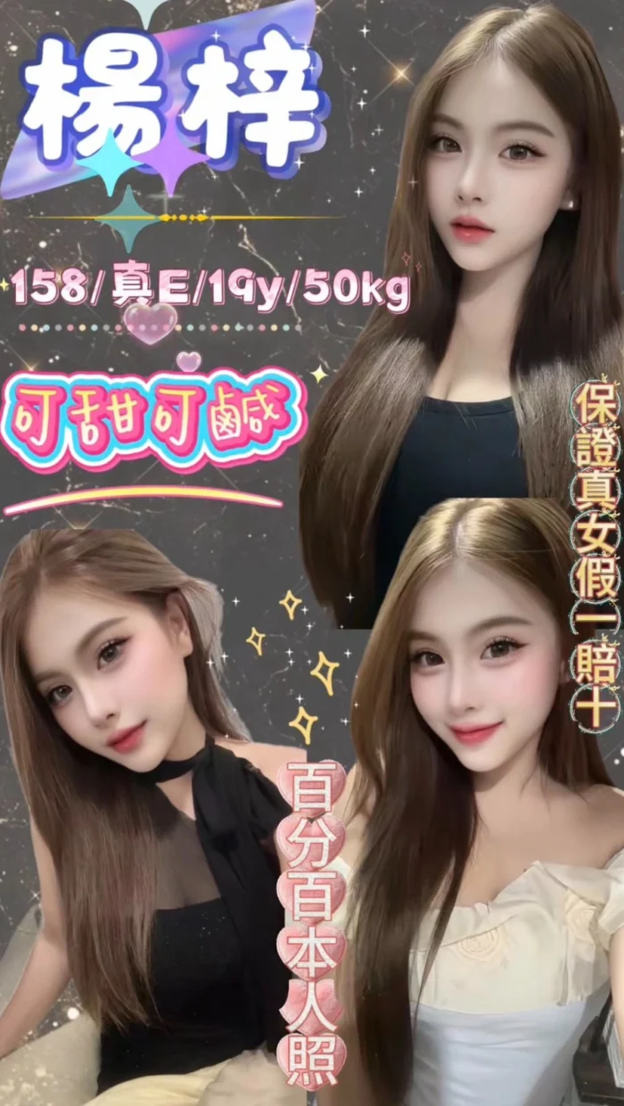 台北定點茶-楊梓/158/50/19/E 台北定點茶-楊梓/158/50/19/E