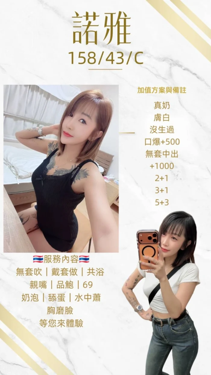 桃園定點茶-諾雅/158/43/22/C